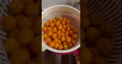 receta de mazamorra de aguaymanto