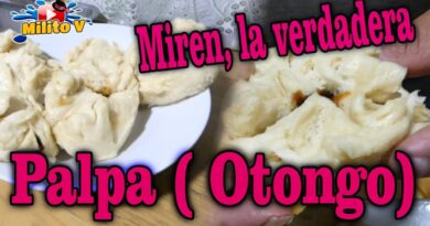 receta de otongo