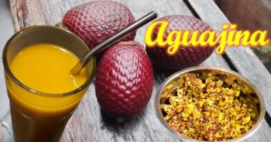 receta de aguaje