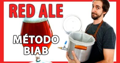 receta de cerveza roja