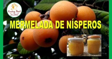 receta de dulce de nispero