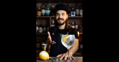receta de gin con gin