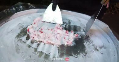 receta de helado tailandes
