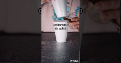 receta de lean