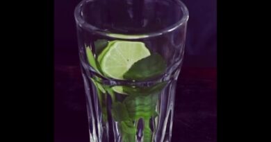 receta de mojito con pisco