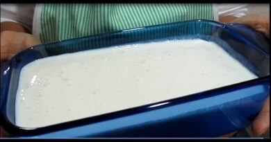 receta de postre de guanabana