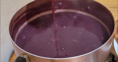 receta de api