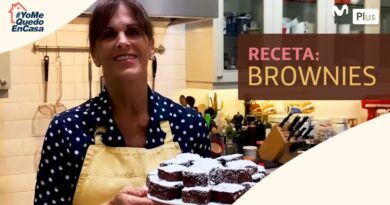 receta de brownies plevisani