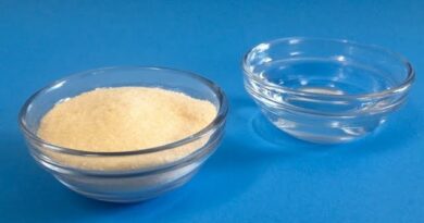 receta de gelatina sin sabor