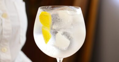 receta de gin tonic