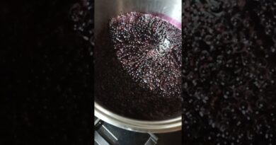 receta de mermelada de sauco