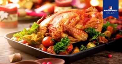receta de pavo san fernando