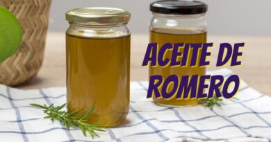 receta de romero