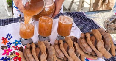 receta de tamarindo