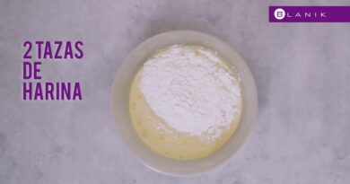 receta de waffles blanik