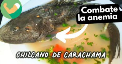 receta de chilcano de carachama