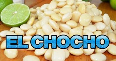receta de chocho