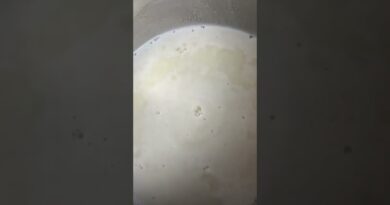 receta de cocadas de leche