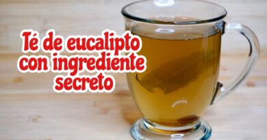 receta de eucalipto