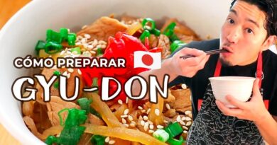 receta de gyudon