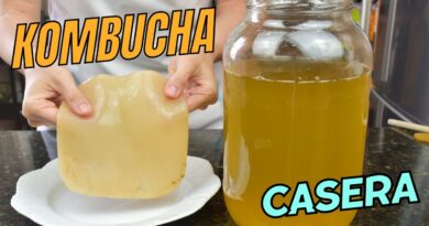 receta de kombucha