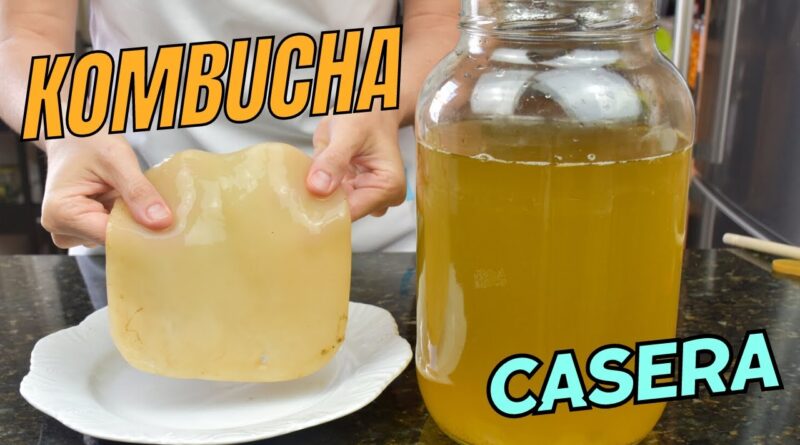 receta de kombucha