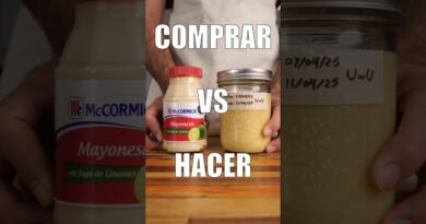 receta de mayonesa mavesa