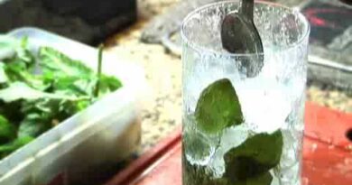 receta de mojito original