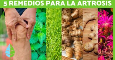 receta de una planta medicinal
