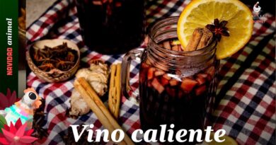 receta de vino caliente