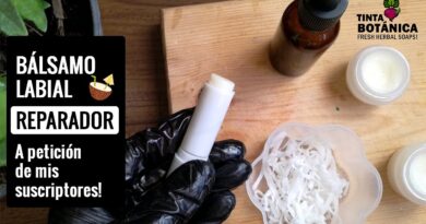 receta de balsamo labial