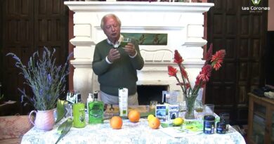 receta de fray romano