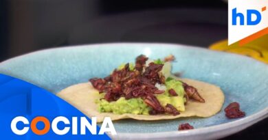 receta de insectos