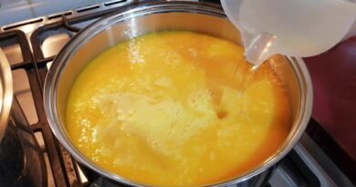 receta de nectar de mango