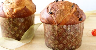 receta de panettone