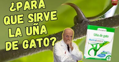receta de uña de gato