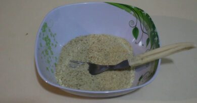 receta de cocadas en ingles