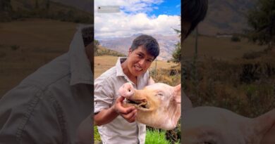 receta de queso de chancho