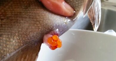 receta de caviar