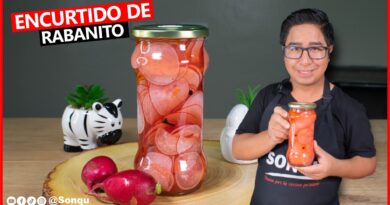 receta de encurtido de rabanito