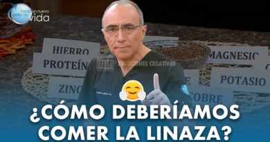 receta de linaza