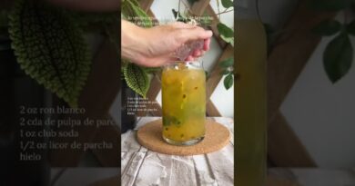receta de mojito de parcha
