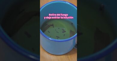 receta de repelente natural