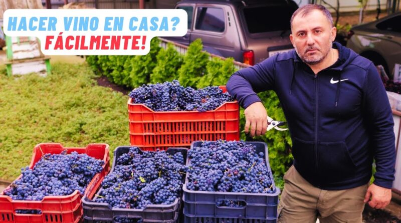 receta de vino de uva