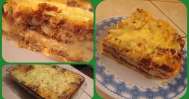 receta de lasaña con wantan