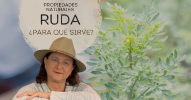 receta de ruda