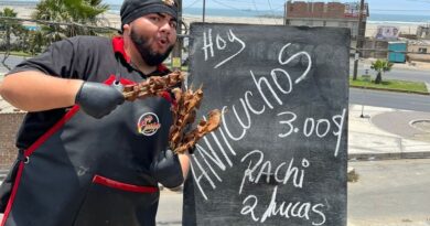 receta de anticuchos y pancita
