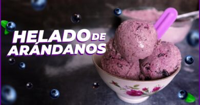 receta de helado de arandanos