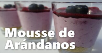 receta de mousse de arandanos