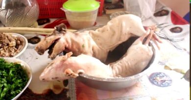 receta de cuy relleno